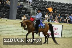 24BUCK_01738 thumbnail