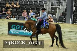 24BUCK_01741 thumbnail