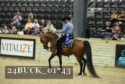 24BUCK_01743 thumbnail