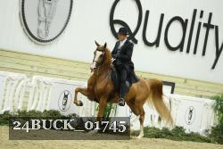 24BUCK_01745 thumbnail
