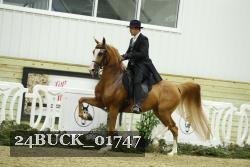 24BUCK_01747 thumbnail