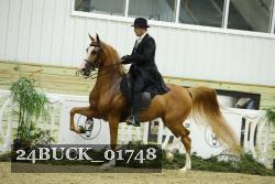 24BUCK_01748 thumbnail