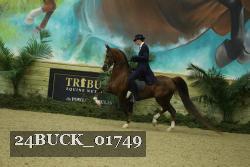 24BUCK_01749 thumbnail