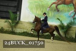 24BUCK_01750 thumbnail