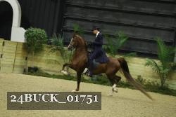 24BUCK_01751 thumbnail