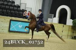 24BUCK_01752 thumbnail