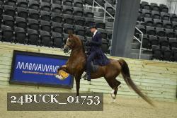 24BUCK_01753 thumbnail