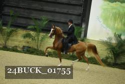 24BUCK_01755 thumbnail