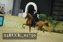 24BUCK_01756 thumbnail