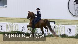 24BUCK_01758 thumbnail