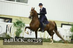 24BUCK_01759 thumbnail