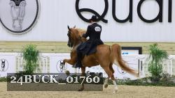 24BUCK_01760 thumbnail