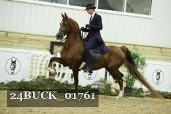 24BUCK_01761 thumbnail