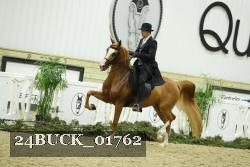 24BUCK_01762 thumbnail