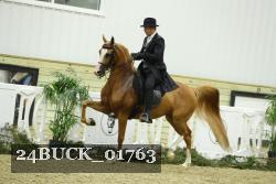 24BUCK_01763 thumbnail