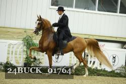 24BUCK_01764 thumbnail