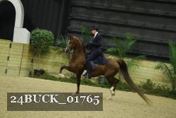 24BUCK_01765 thumbnail