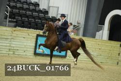 24BUCK_01766 thumbnail