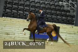24BUCK_01767 thumbnail