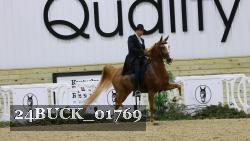 24BUCK_01769 thumbnail