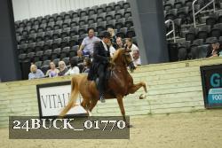 24BUCK_01770 thumbnail