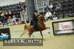 24BUCK_01772 thumbnail