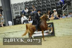 24BUCK_01773 thumbnail