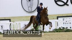 24BUCK_01775 thumbnail