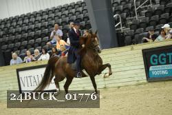 24BUCK_01776 thumbnail