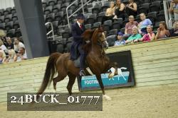 24BUCK_01777 thumbnail