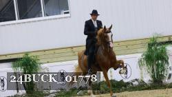 24BUCK_01778 thumbnail
