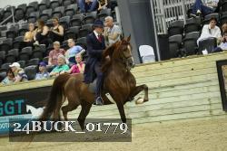 24BUCK_01779 thumbnail