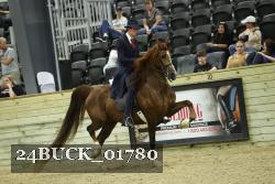 24BUCK_01780 thumbnail