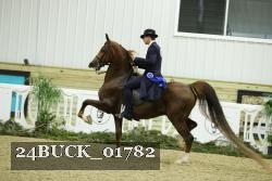 24BUCK_01782 thumbnail