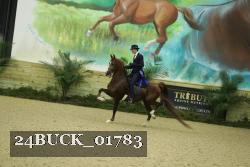 24BUCK_01783 thumbnail