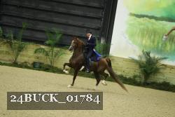 24BUCK_01784 thumbnail