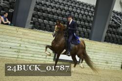 24BUCK_01787 thumbnail