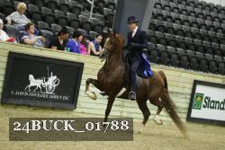 24BUCK_01788 thumbnail