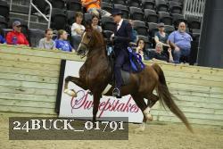 24BUCK_01791 thumbnail