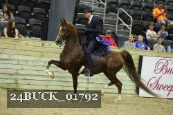 24BUCK_01792 thumbnail