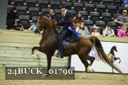24BUCK_01796 thumbnail