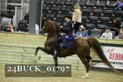 24BUCK_01797 thumbnail