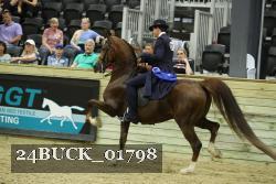 24BUCK_01798 thumbnail