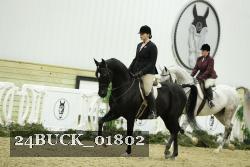 24BUCK_01802 thumbnail