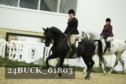 24BUCK_01803 thumbnail