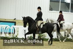 24BUCK_01804 thumbnail
