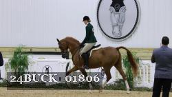 24BUCK_01806 thumbnail