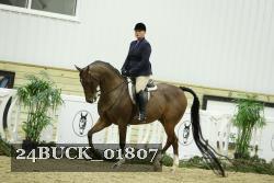 24BUCK_01807 thumbnail