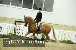 24BUCK_01809 thumbnail