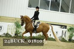 24BUCK_01810 thumbnail
